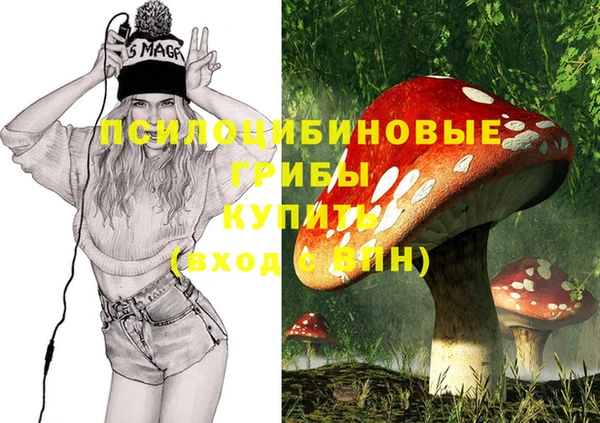 прущая мука Медногорск