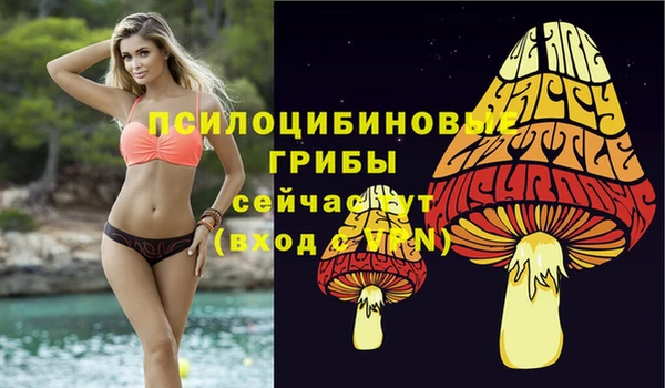 мефедрон мука Медвежьегорск